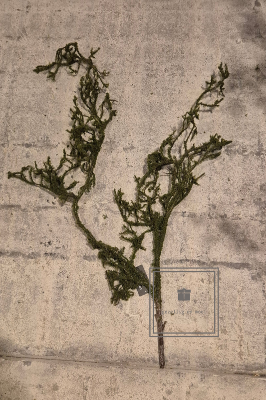 Mos tak - Gezellig en Mooi