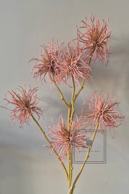Brynxz Xanthium Old pink 81 cm