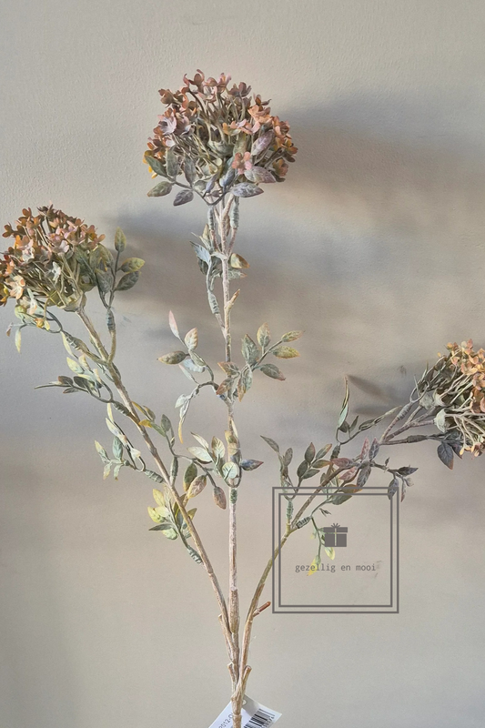 Brynxz Bouvardia Stem Grey 70 cm