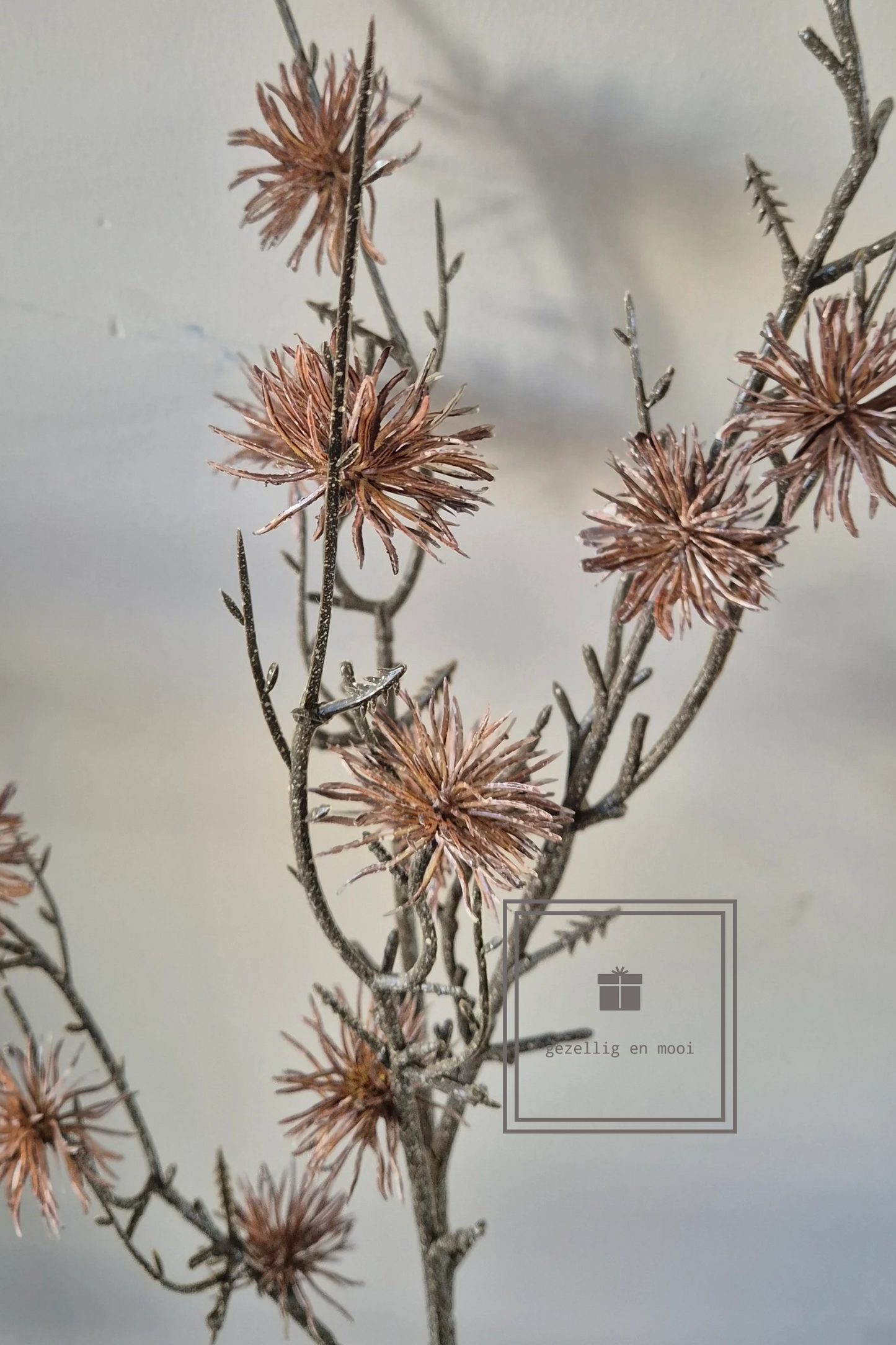 Brynxz Hamamelis Dark Brown 92 cm