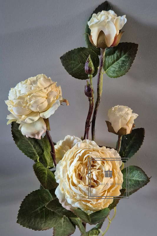 Brynxz Wild roses Off White 67 cm