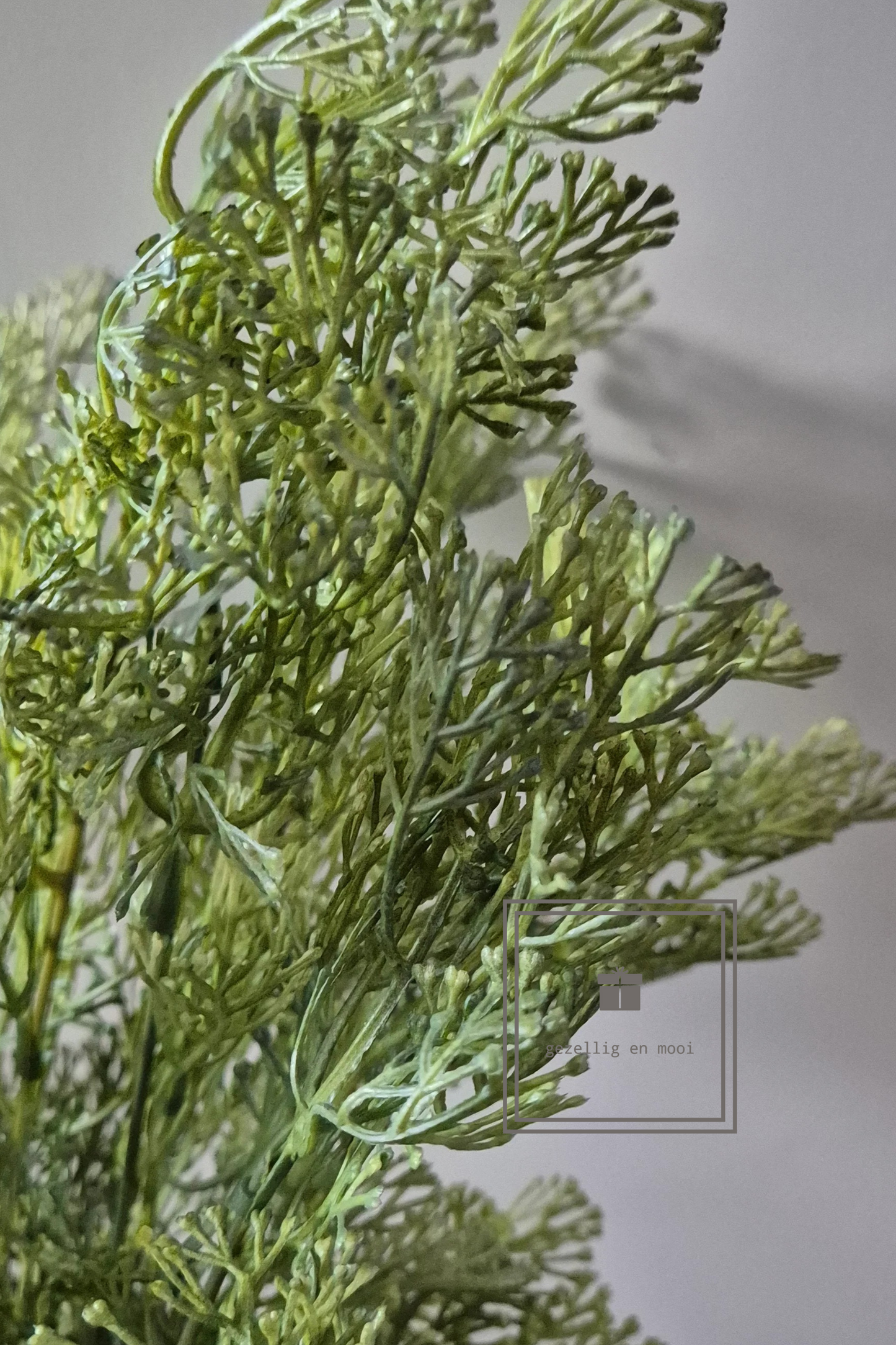 Brynxz Dillweed Bush deluxe 56 cm