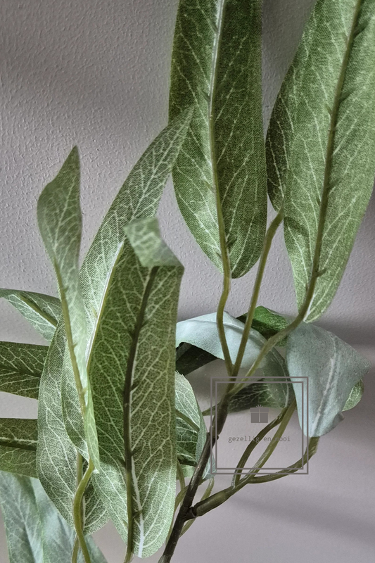 Brynxz Mango Leaf grey 95 cm