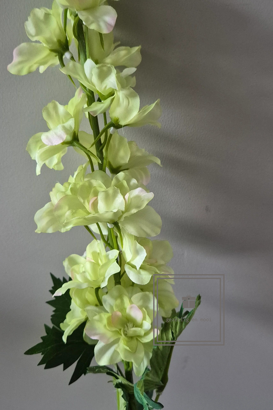 Delphinium Light Green 79 cm