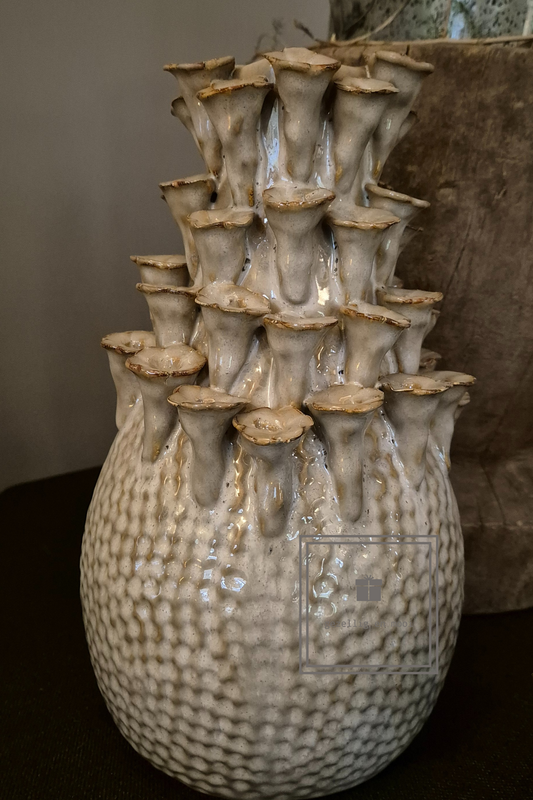 Mansion Atmosphere Vobarno vaas - Gezellig en Mooi