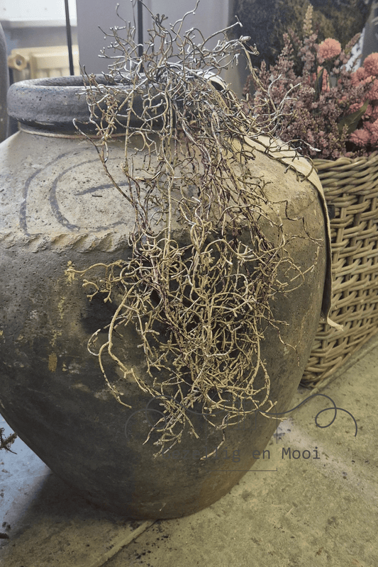 Brynxz hanging tillandsia brown 100 cm - Gezellig en Mooi