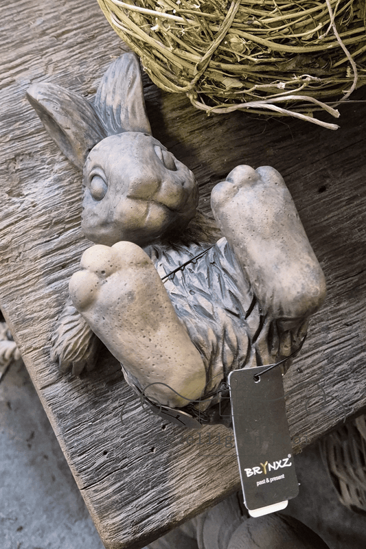 Brynxz Lying hare Majestic brown