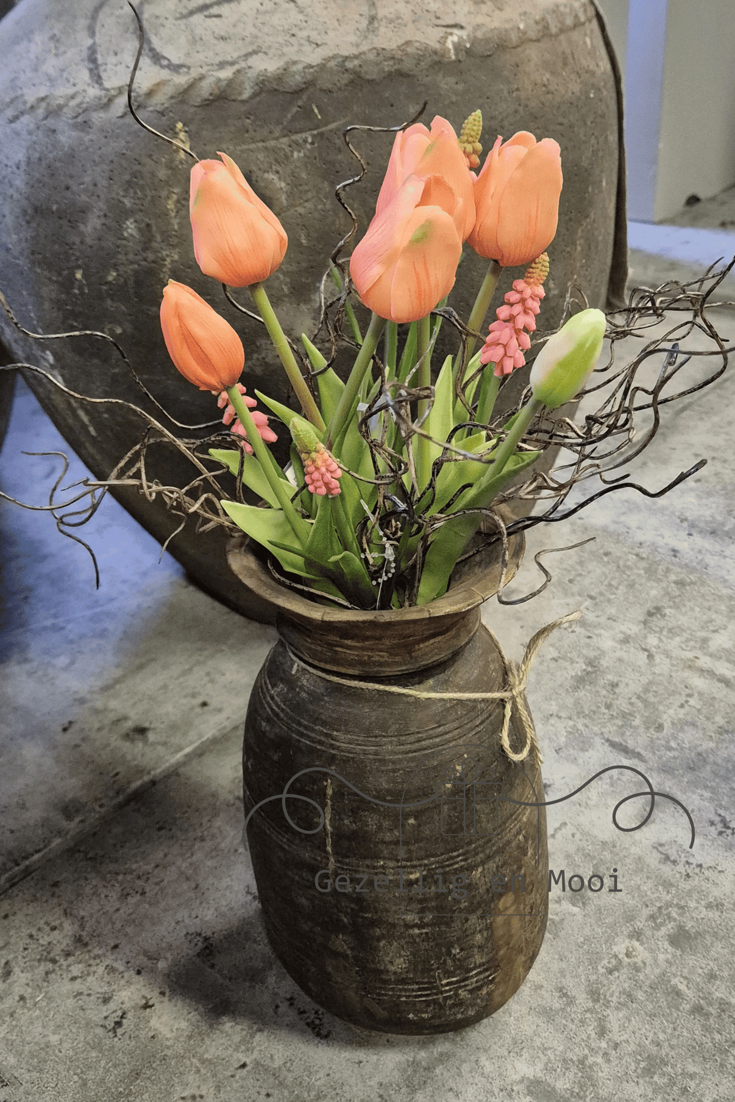 Brynxz twig bugs - Gezellig en Mooi