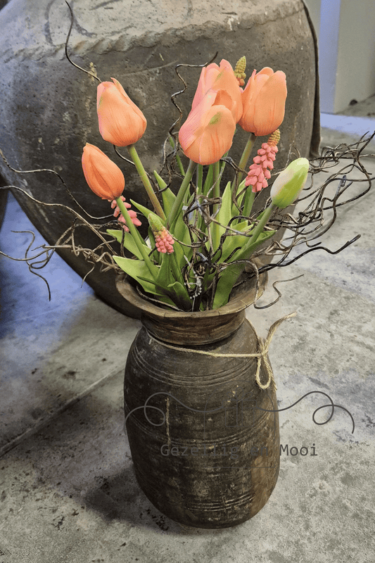 Brynxz twig bugs - Gezellig en Mooi