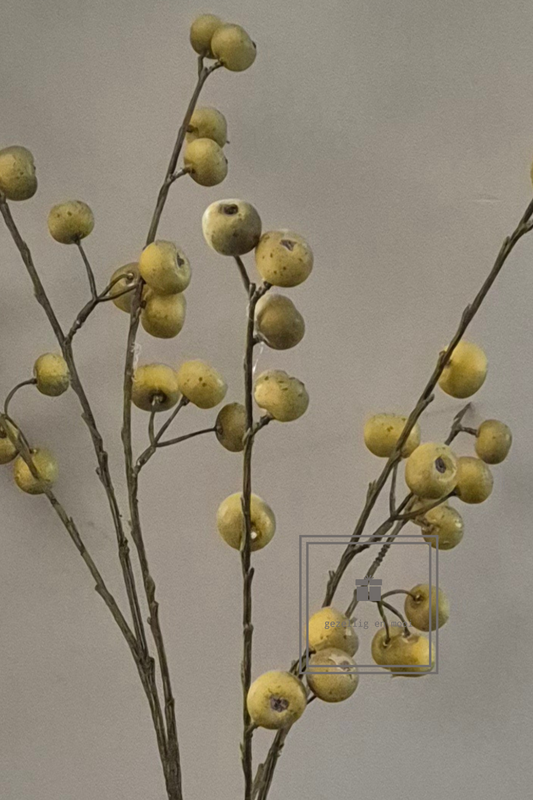 Kunsttak appeltjes - Gezellig en Mooi