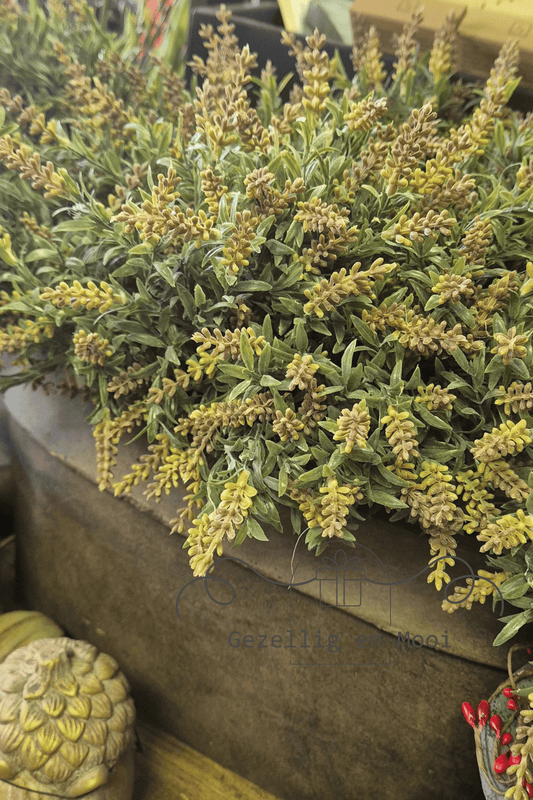 Lavendel bosje grijs - Gezellig en Mooi