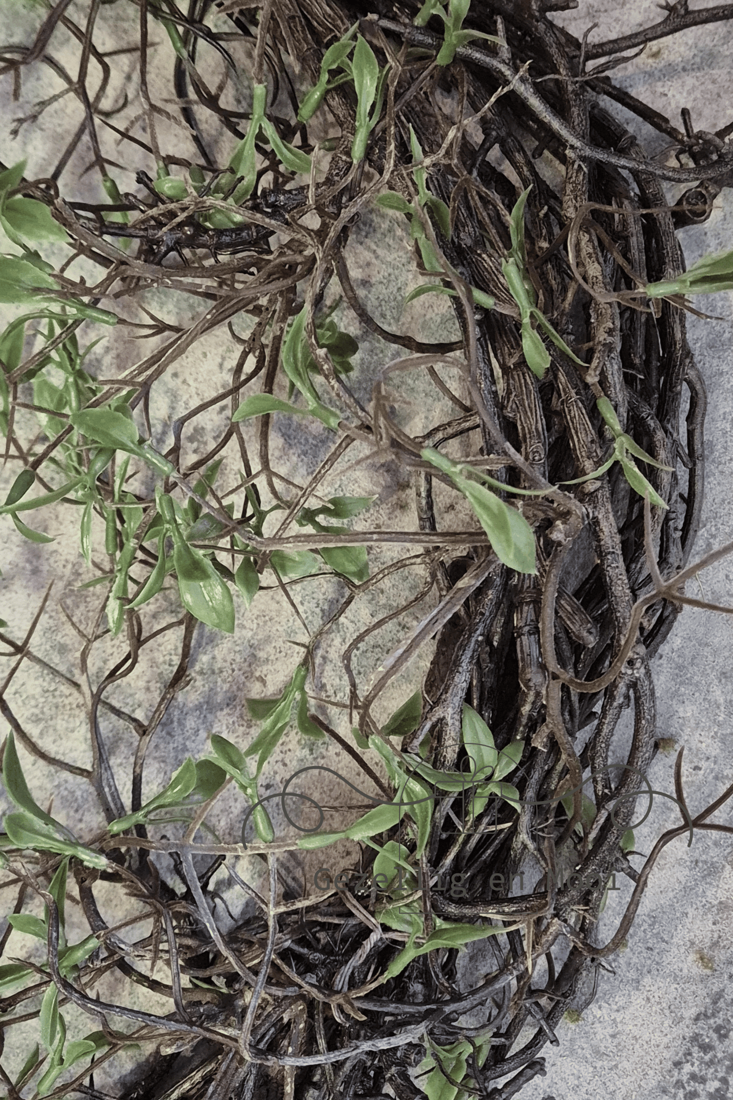 Salix krans kunst - Gezellig en Mooi