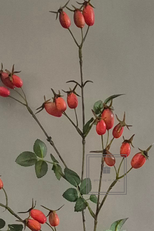 Rozenbottels oranje - Gezellig en Mooi