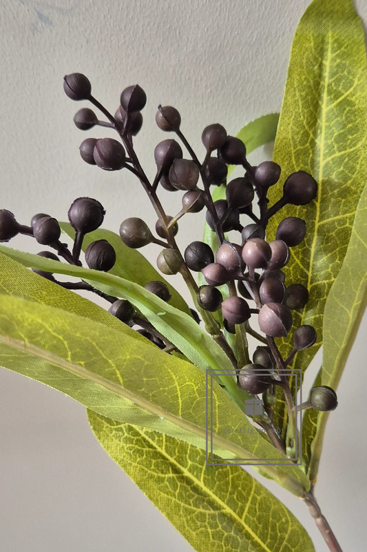 Brynxz Berry spray spring dark purple 92 vm