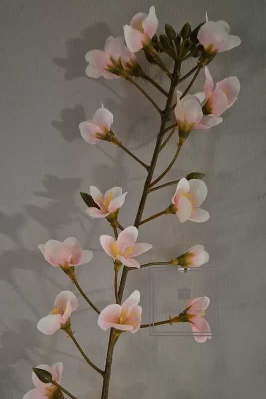 Primula tak 85 cm roze