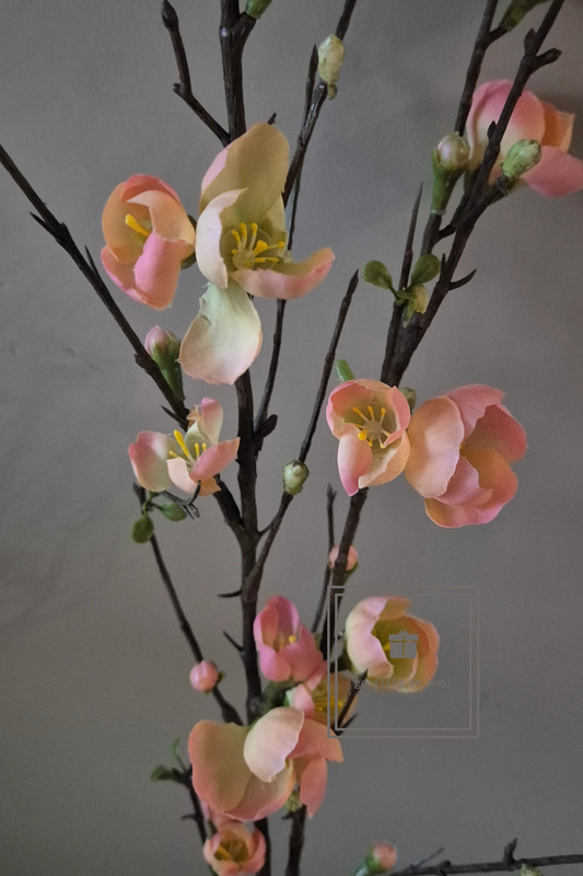 Quince blossom tak 125 cm Perzik