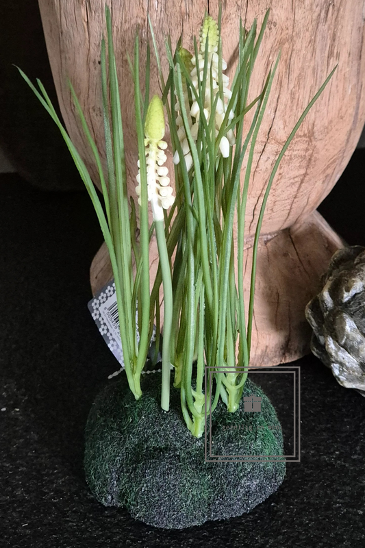 Druifjes op mos in wit of blauw