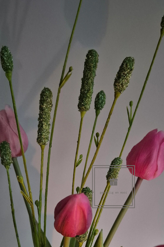 Pimpernel 84 cm groen