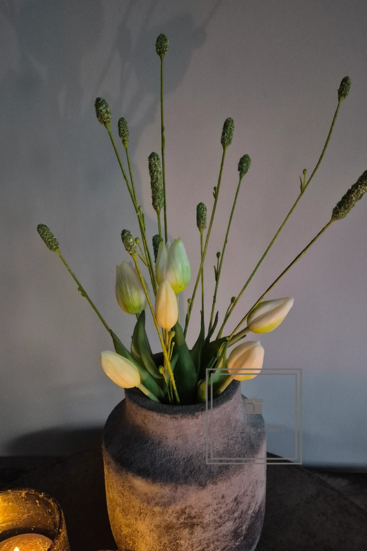 Holland tulp 25 cm creme