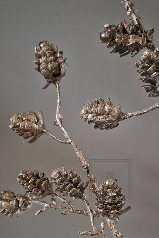 Dennenappel tak Bruin