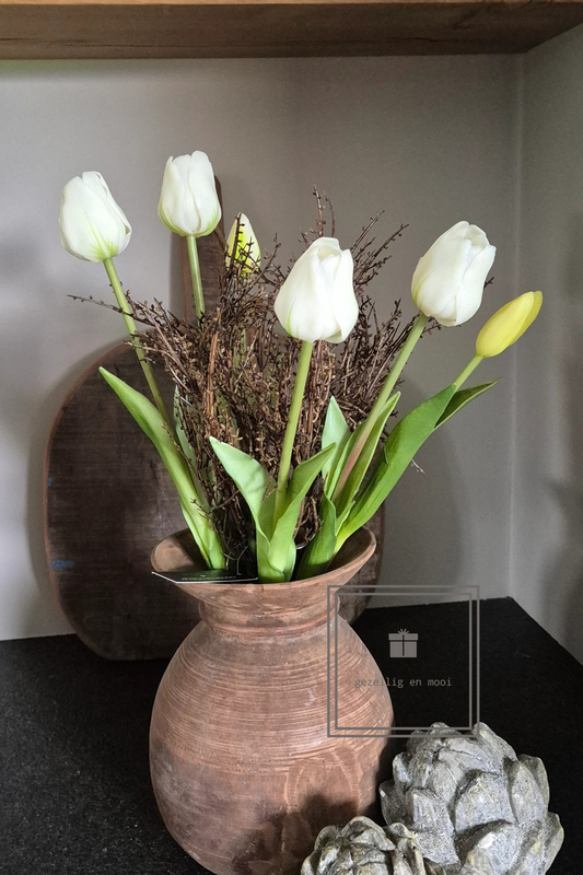 Tulp snowy white