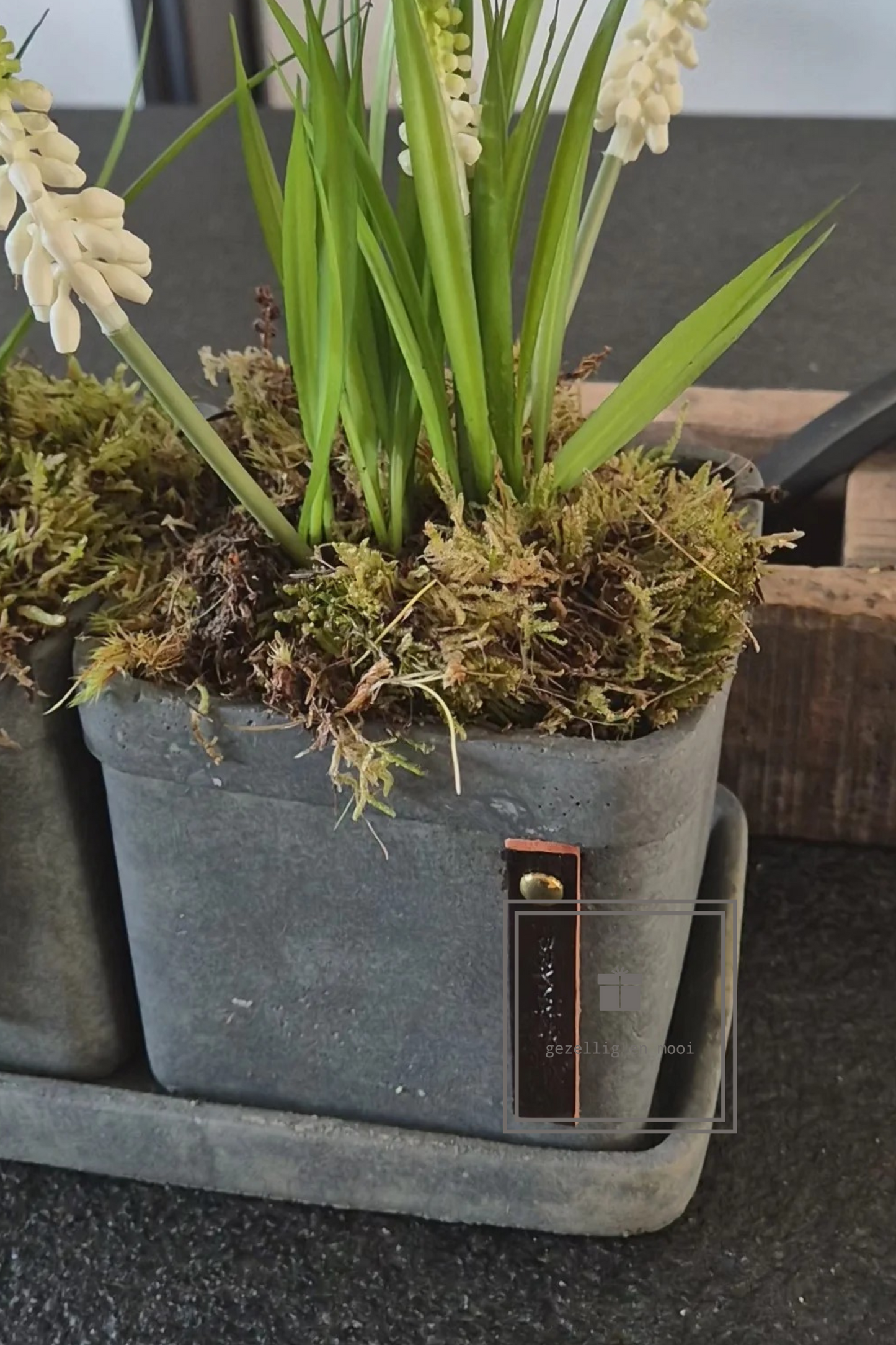 Brynxz 3 bloempotjes op schaal