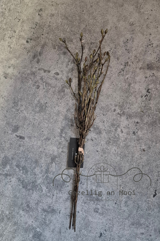 Tilia bundel - Gezellig en Mooi