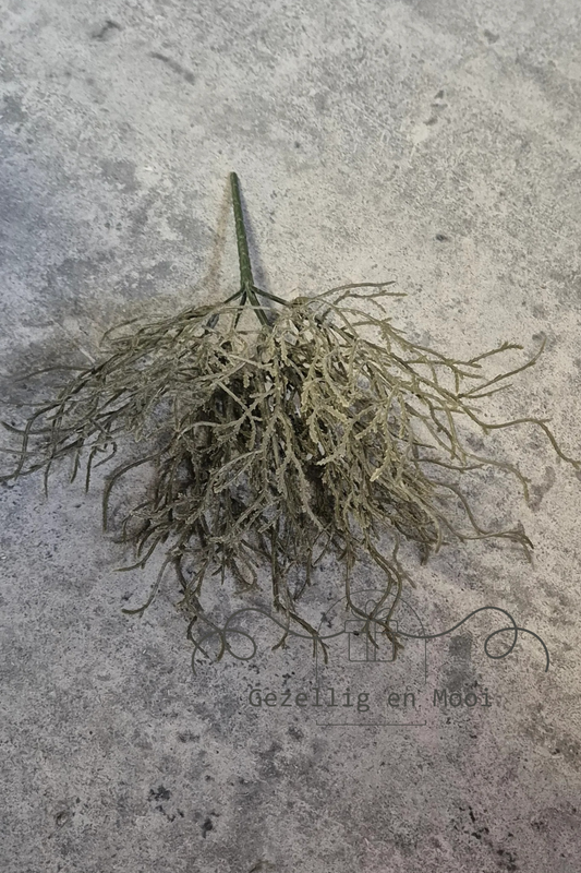 Twig bush zijdetak - Gezellig en Mooi