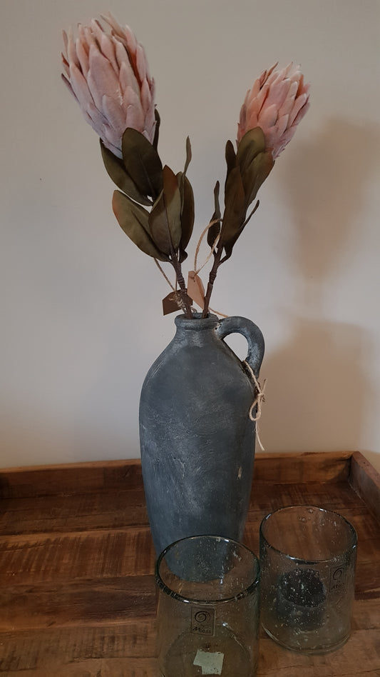 Protea roze - Gezellig en Mooi