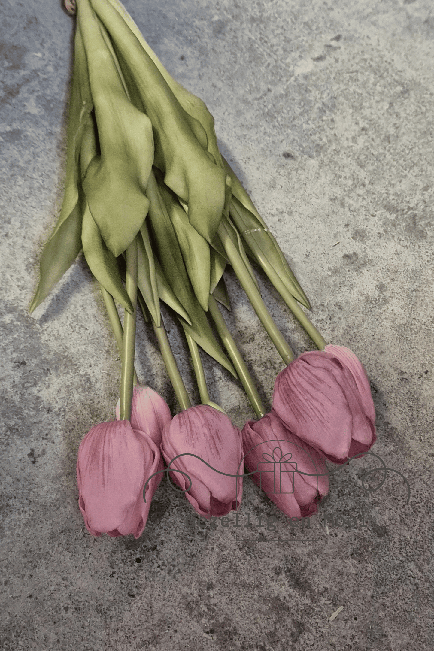 Tulp vintage mauve - Gezellig en Mooi