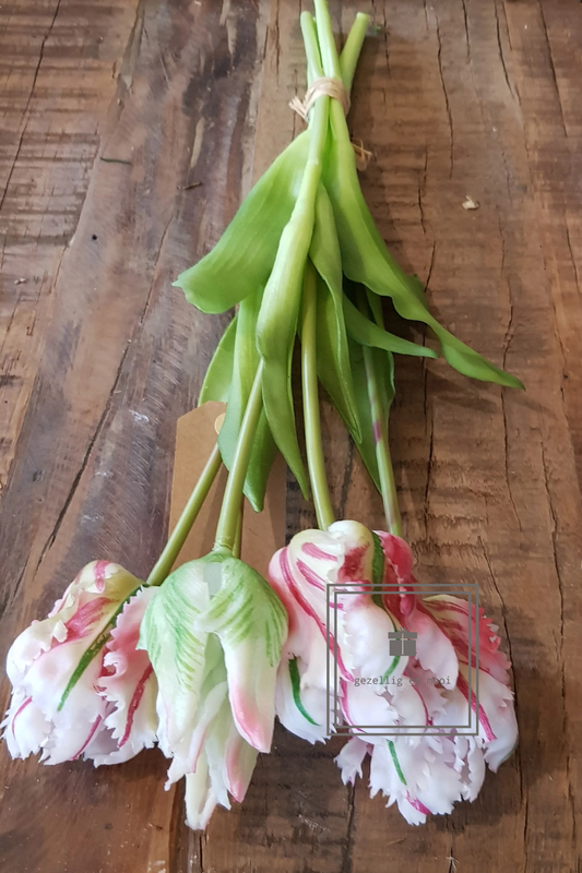 Papegaai tulpen roze