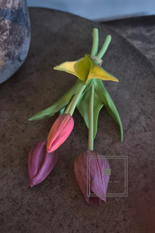 Holland tulp 25 cm aubergine