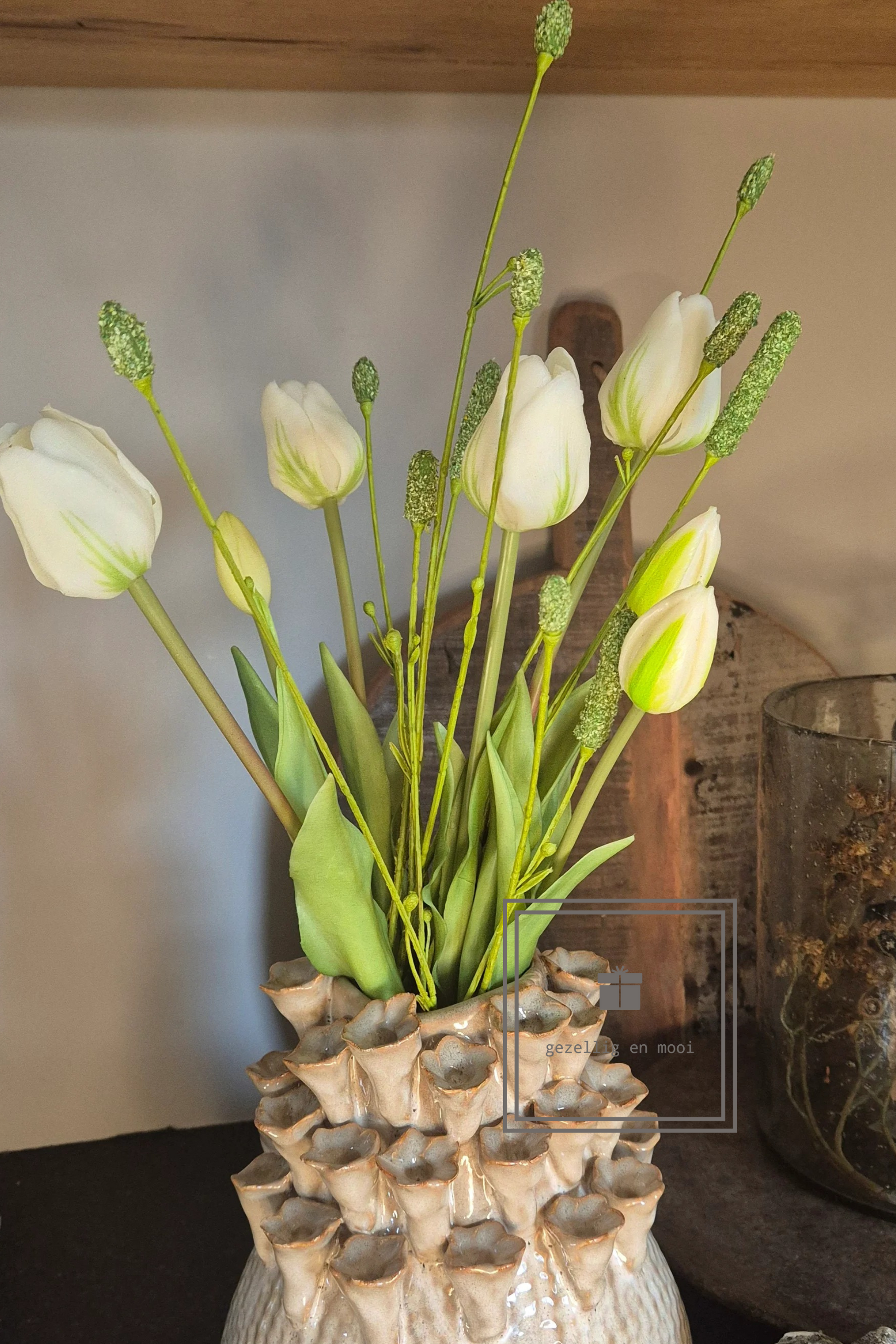 Tulp snowy white
