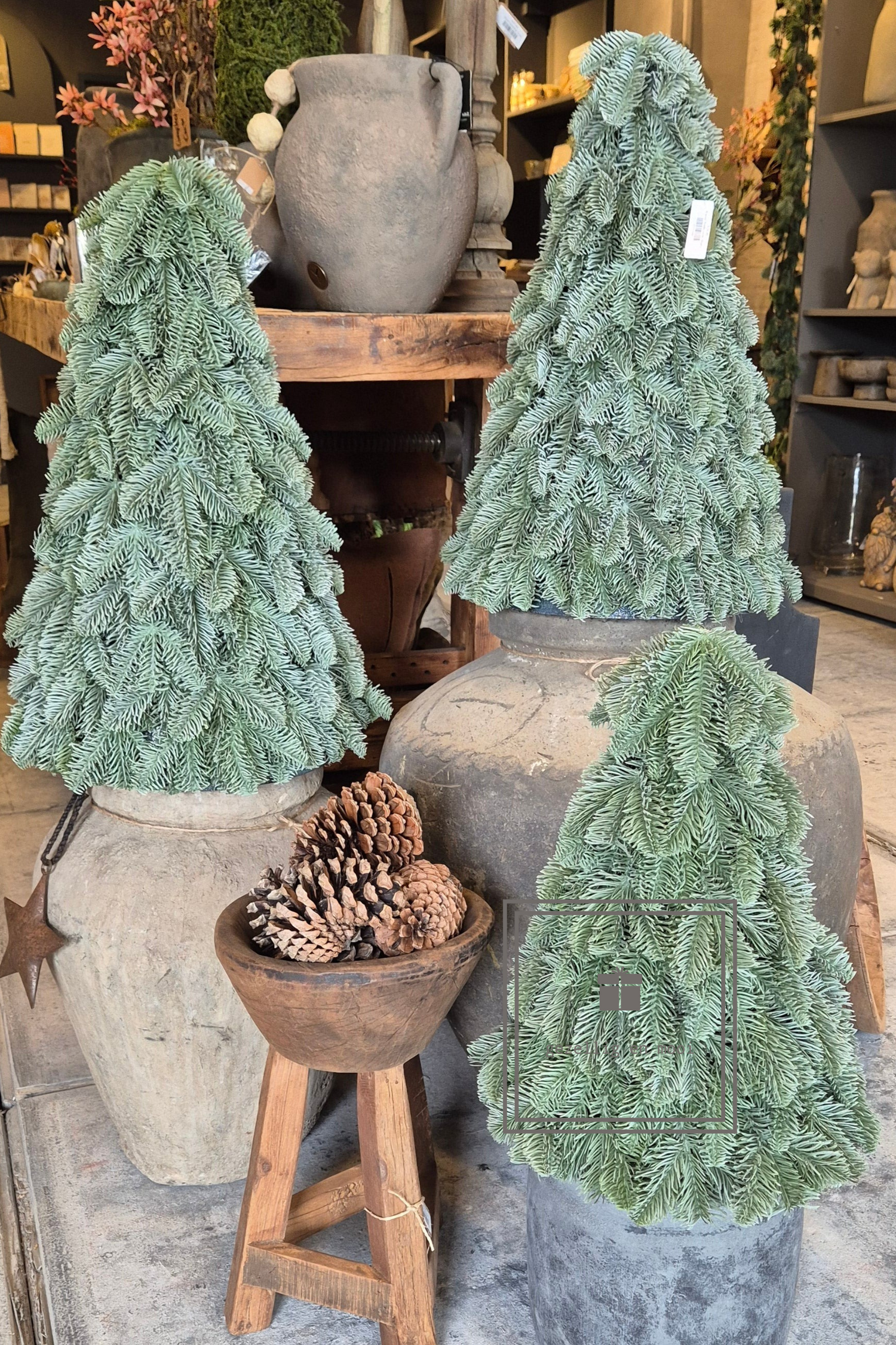 Brynxz Nobilis x-tree - Gezellig en Mooi