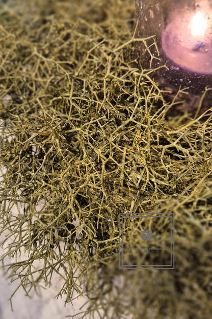 Iron Bush Wreath naturel 40