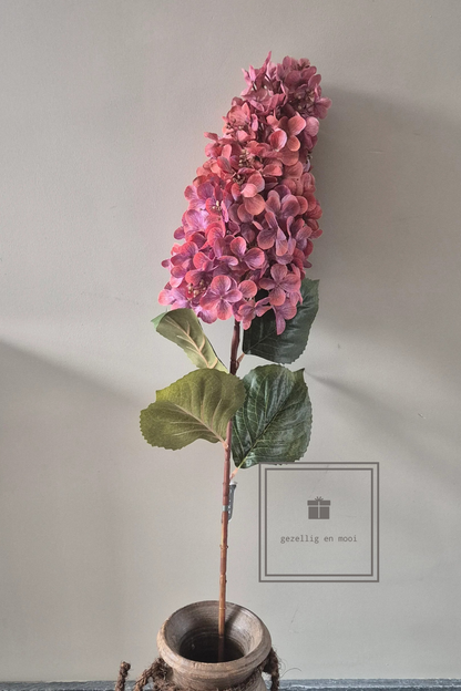 Brynxz hydrangea paniculata pink 90 cm