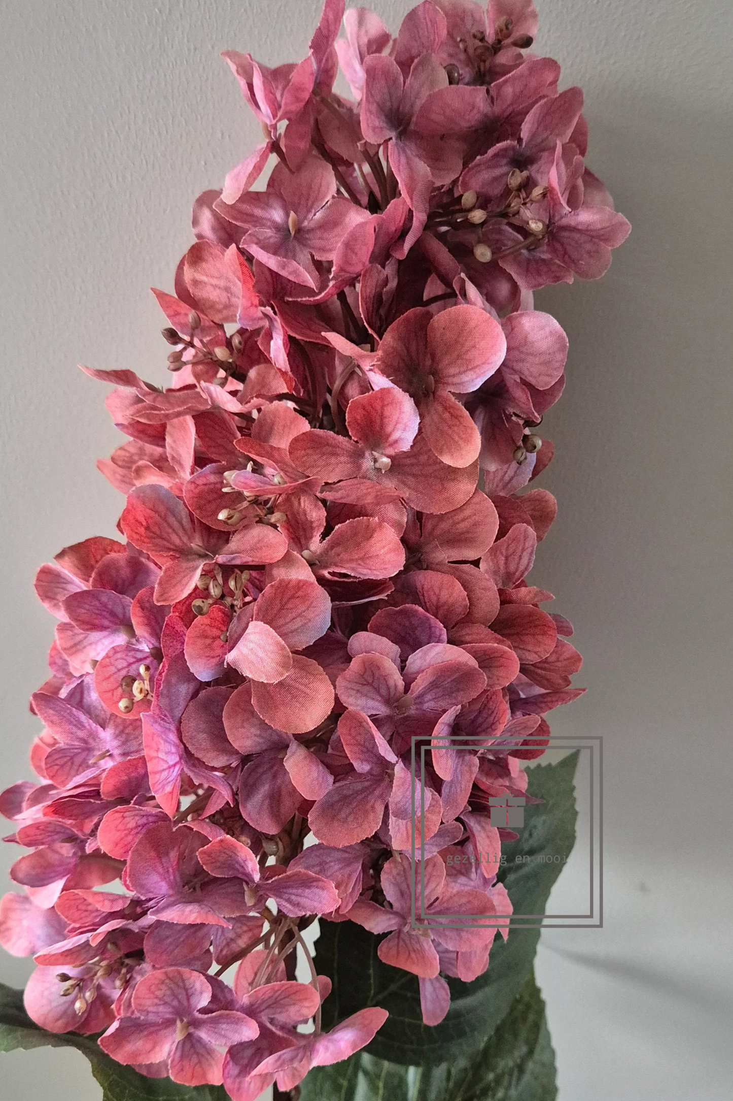 Brynxz hydrangea paniculata pink 90 cm