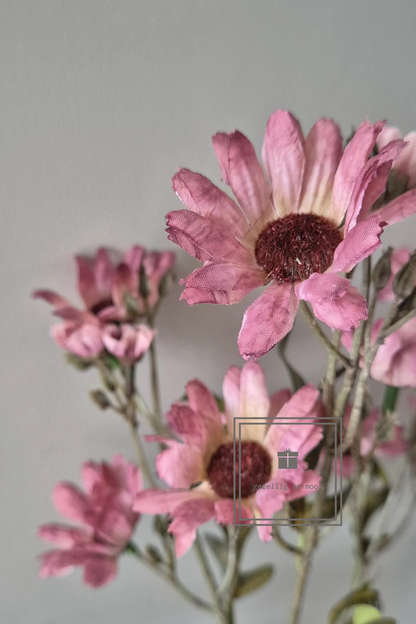 Brynxz Chrysanthemum purple 90 cm