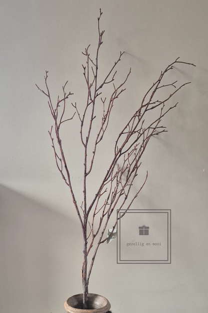 Brynxz Beech twig natural L 100 cm