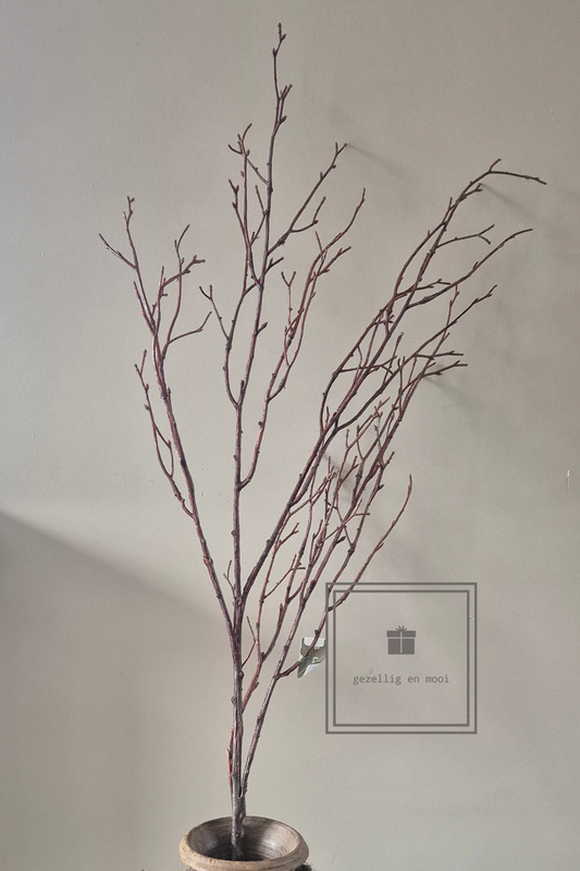 Brynxz Beech twig natural L 100 cm