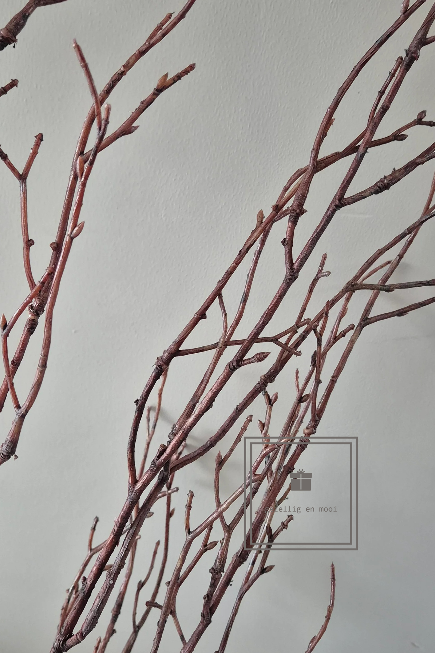 Brynxz Beech twig natural L 100 cm