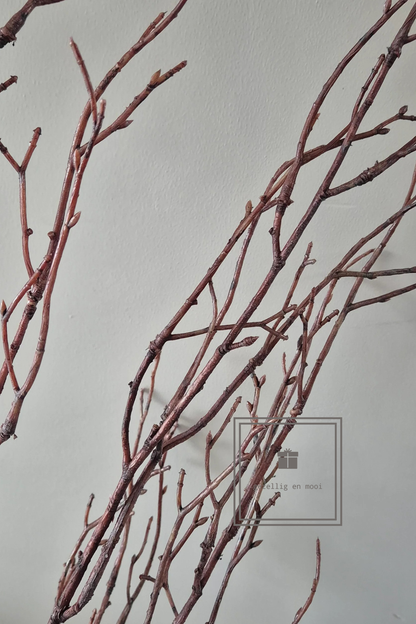 Brynxz Beech twig natural L 100 cm