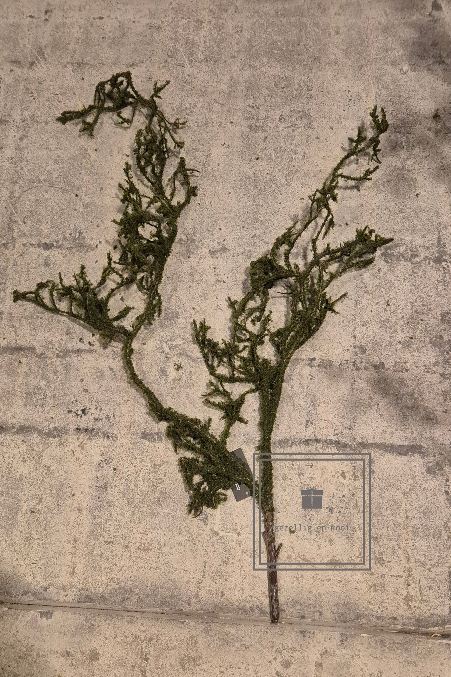 Mos tak - Gezellig en Mooi