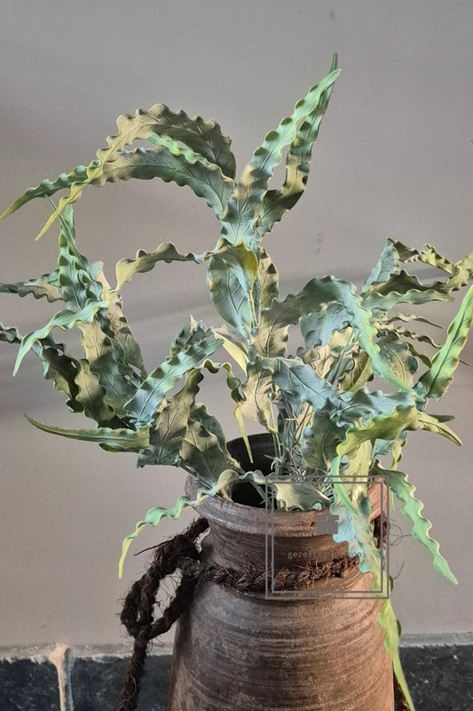 Brynxz Eucalyptus Bush 35 cm
