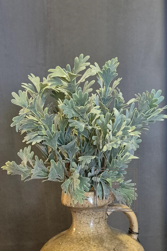 Brynxz Senecio Bush Grey  30 cm