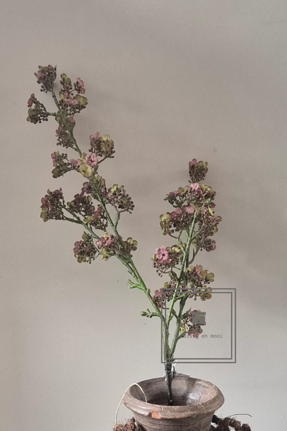 Brynxz Potentilla Pink 102 cm