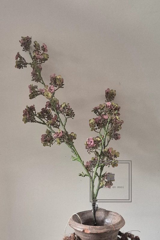 Brynxz Potentilla Pink 102 cm