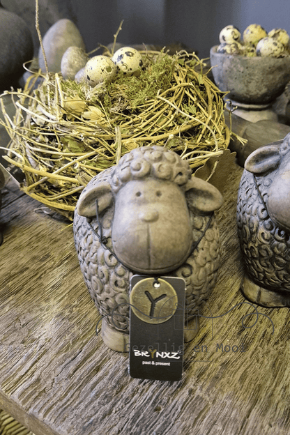 Brynxz funny sheep majestic brown - Gezellig en Mooi