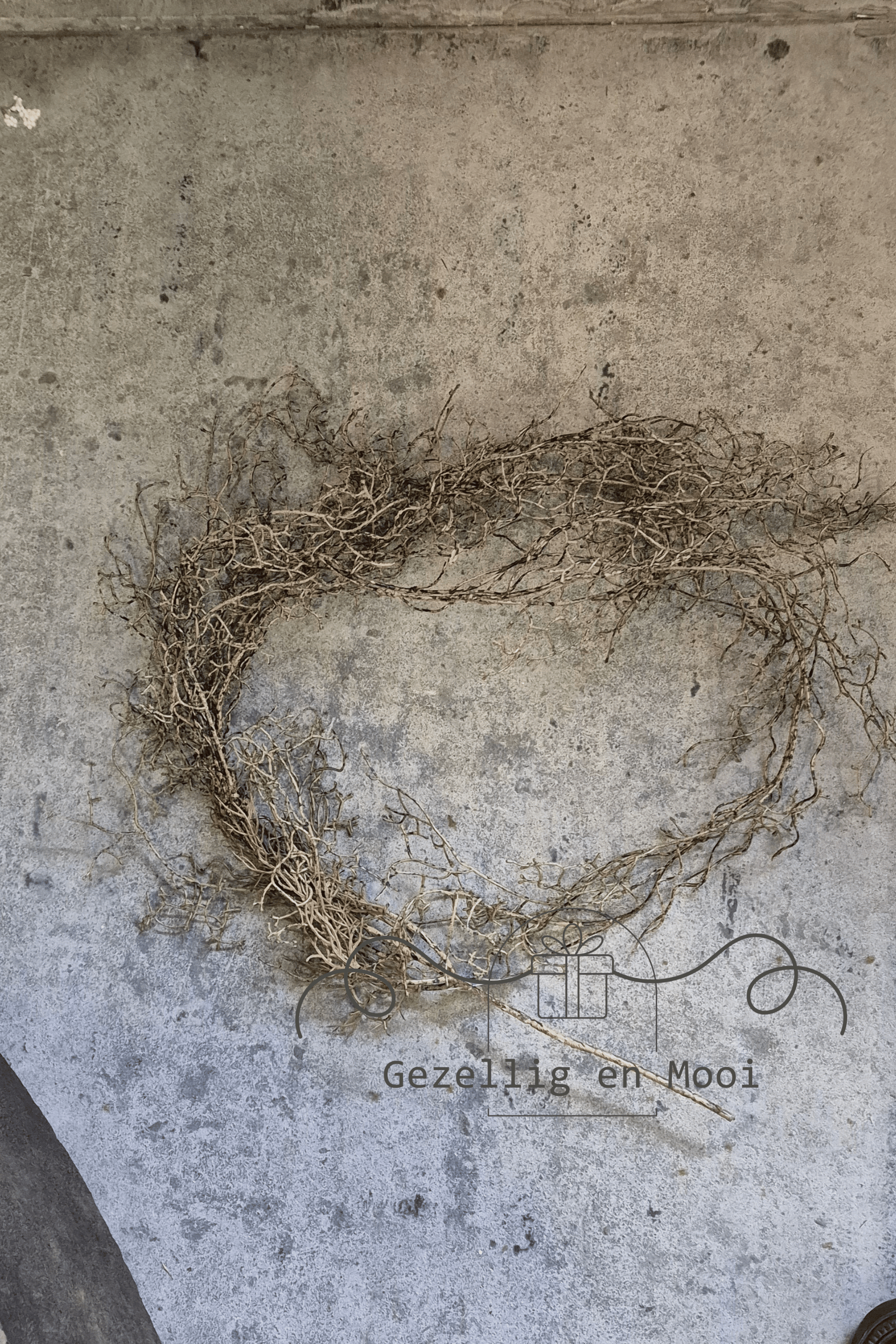 Brynxz hanging tillandsia brown 100 cm - Gezellig en Mooi