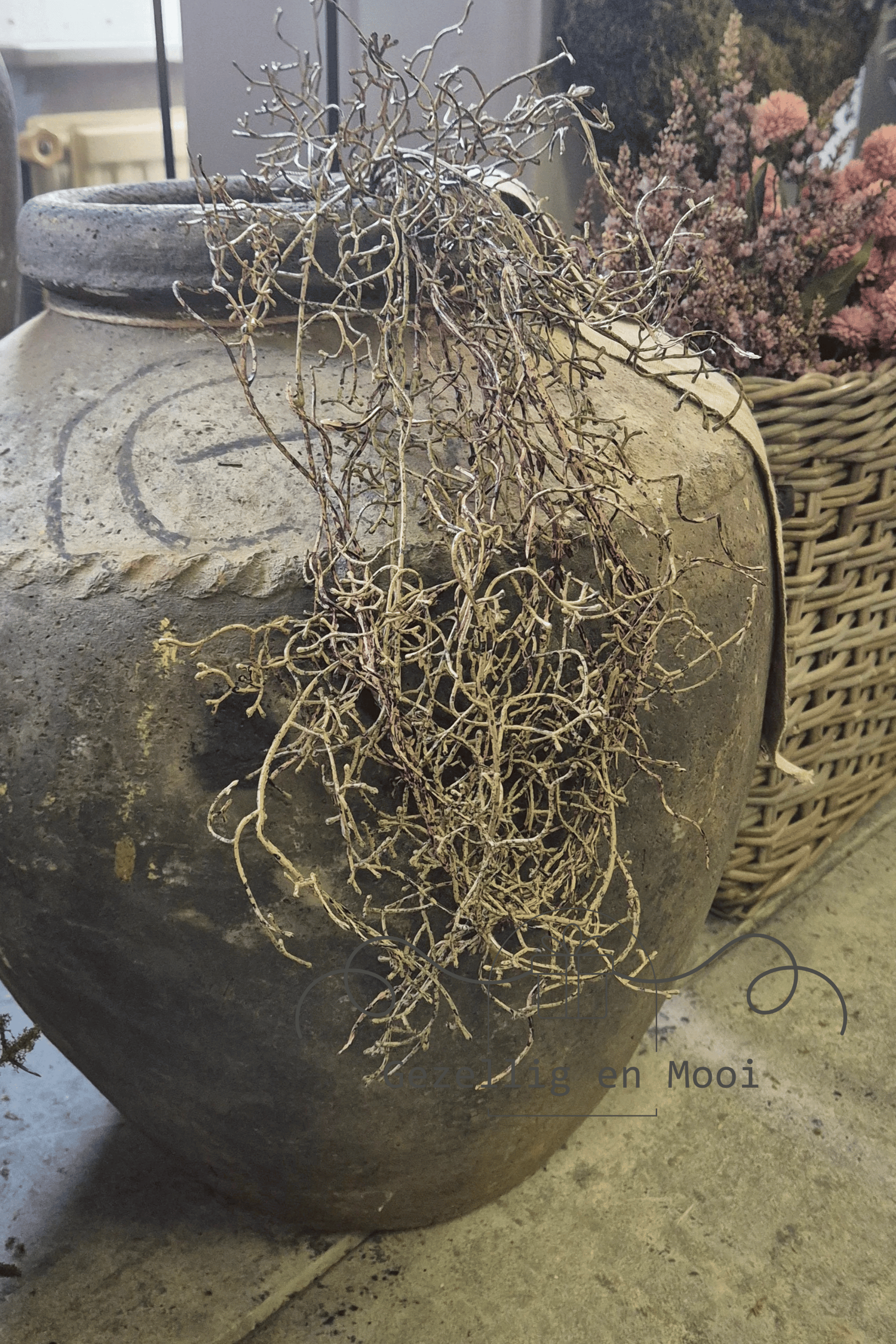 Brynxz hanging tillandsia brown 100 cm - Gezellig en Mooi